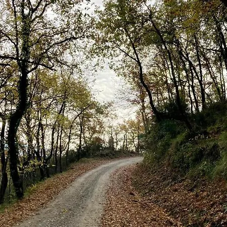 La Fonte Di Gaiche *