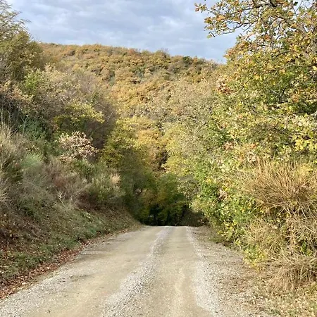 La Fonte Di Gaiche Casa rural *