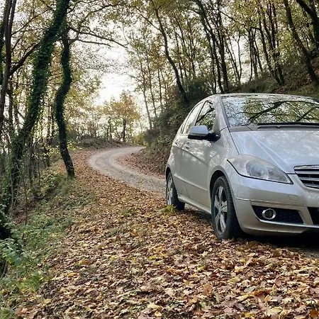 La Fonte Di Gaiche Casa rural